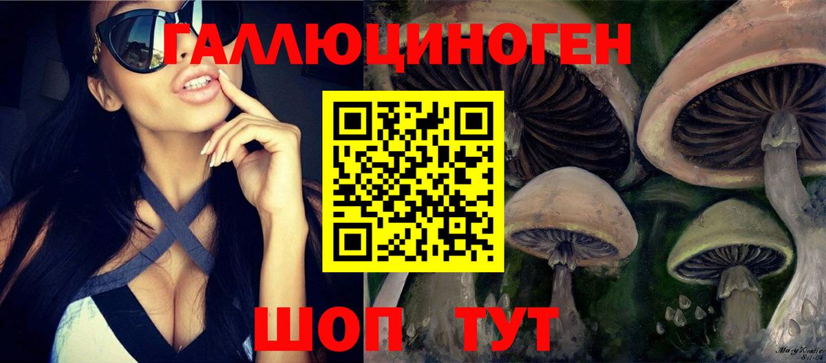 Бахчисарай  где купить наркоту  Вход с VPN  Псилоцибиновые грибы ЛСД  Псилоцибиновые грибы GOLDEN TEACHER 